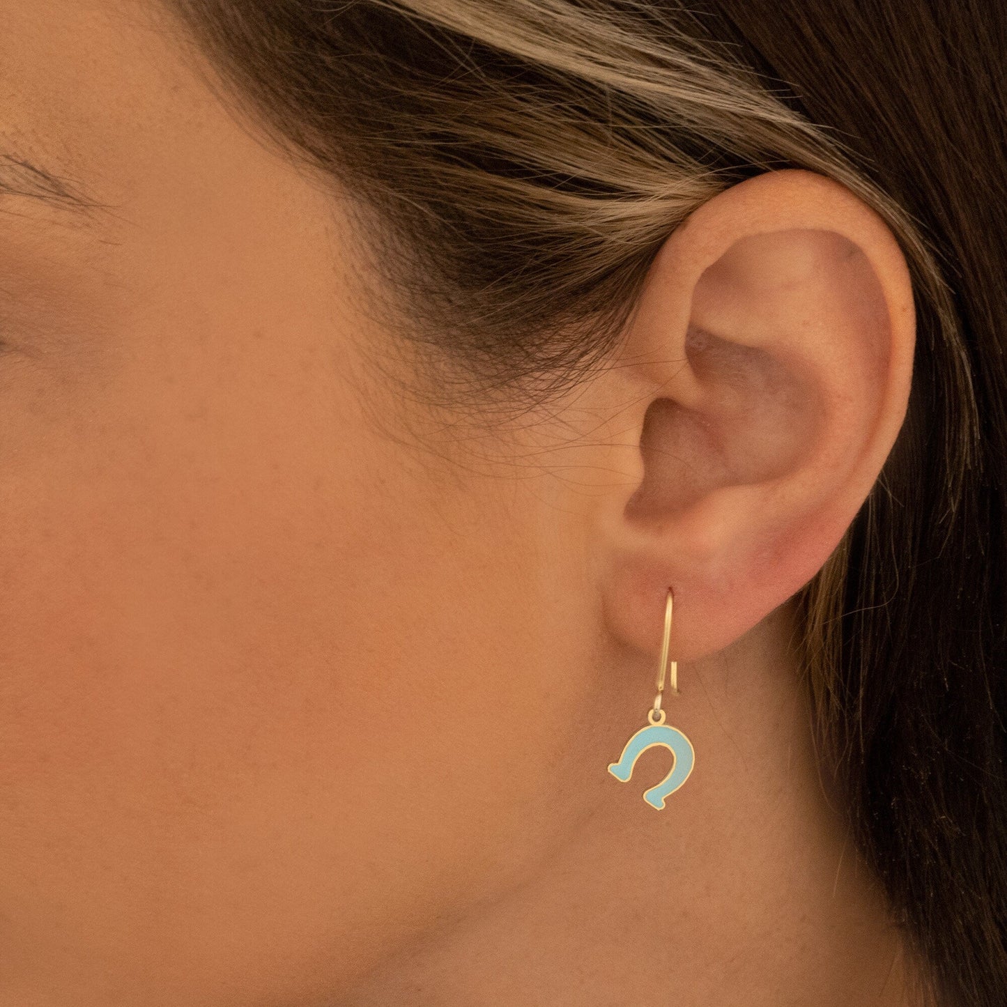925 Sterling Silver Enamel Horseshoe Earrings