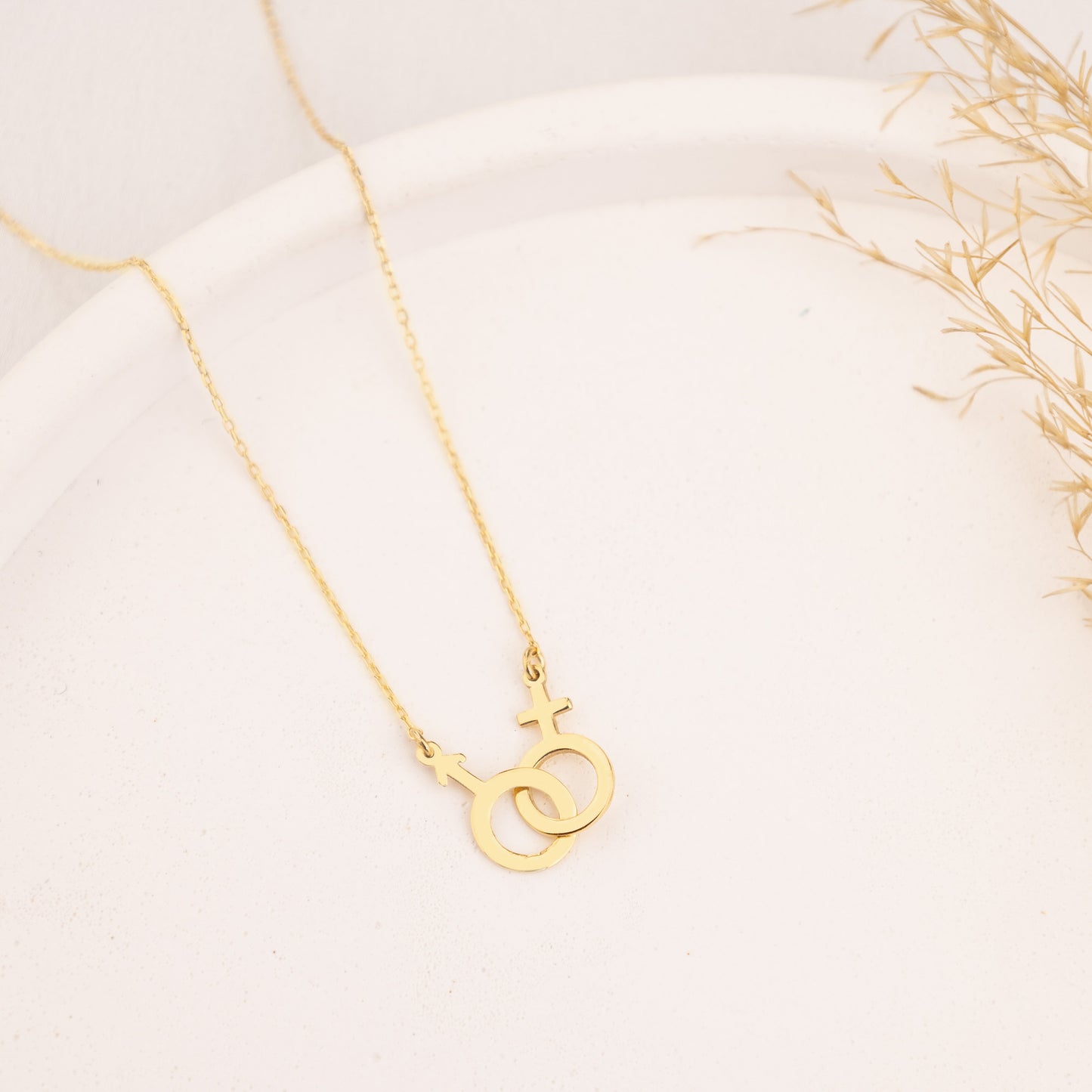 Custom Gender Symbol Necklace, Lesbian Necklace, Feminist Necklace, Venus Necklace, Lesbian Gift, Pride Necklace, Transgender Necklace